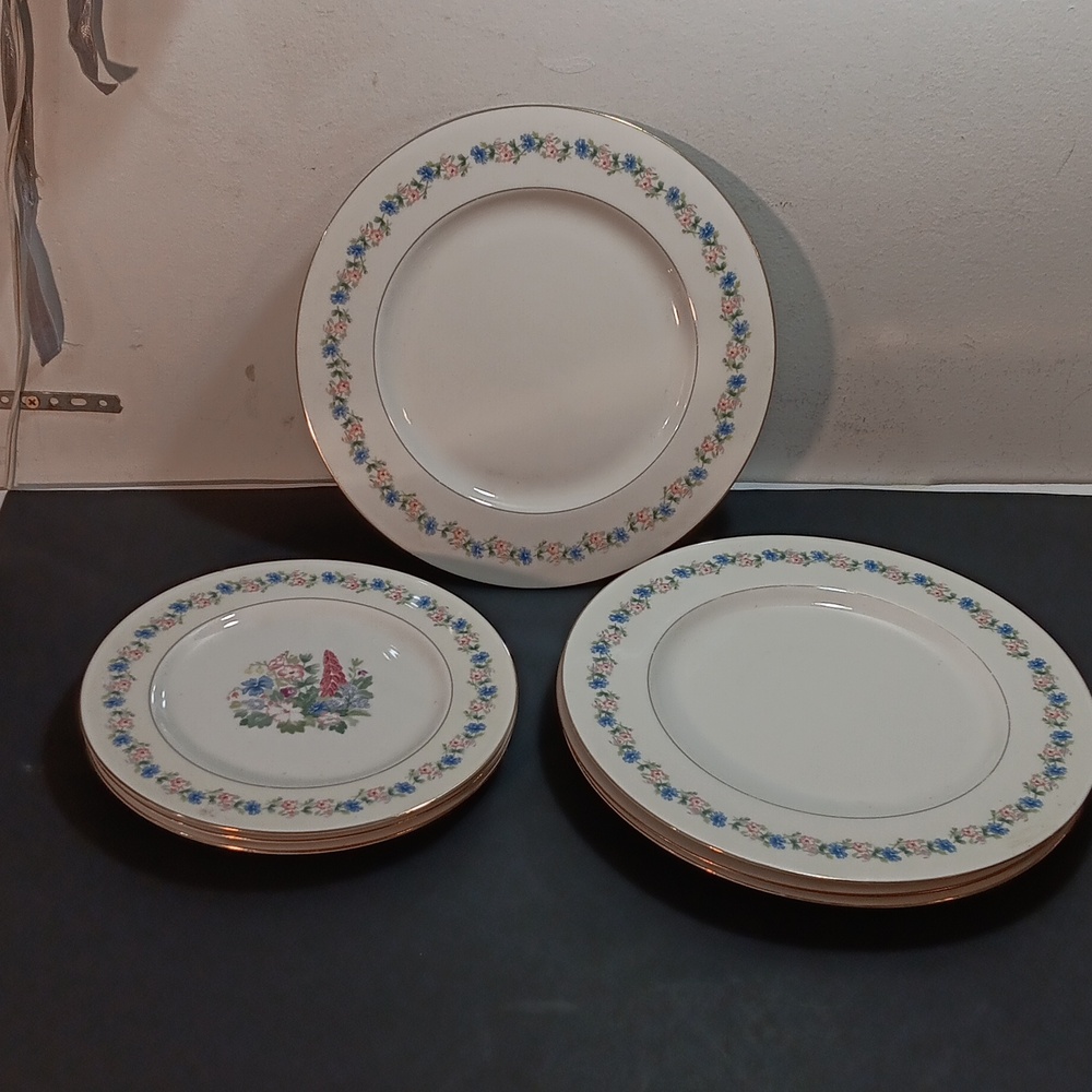 7 Theodore Haviland 4 Dinner and 3 Salad Plates